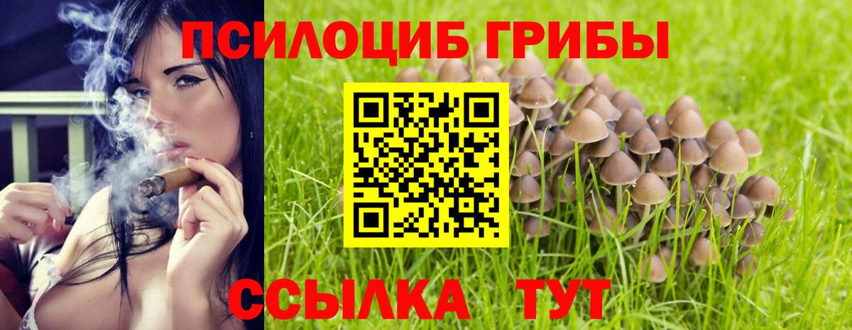 Галлюциногенные грибы Psilocybine cubensis  Вход с VPN  Псилоцибиновые грибы ЛСД  Энгельс 